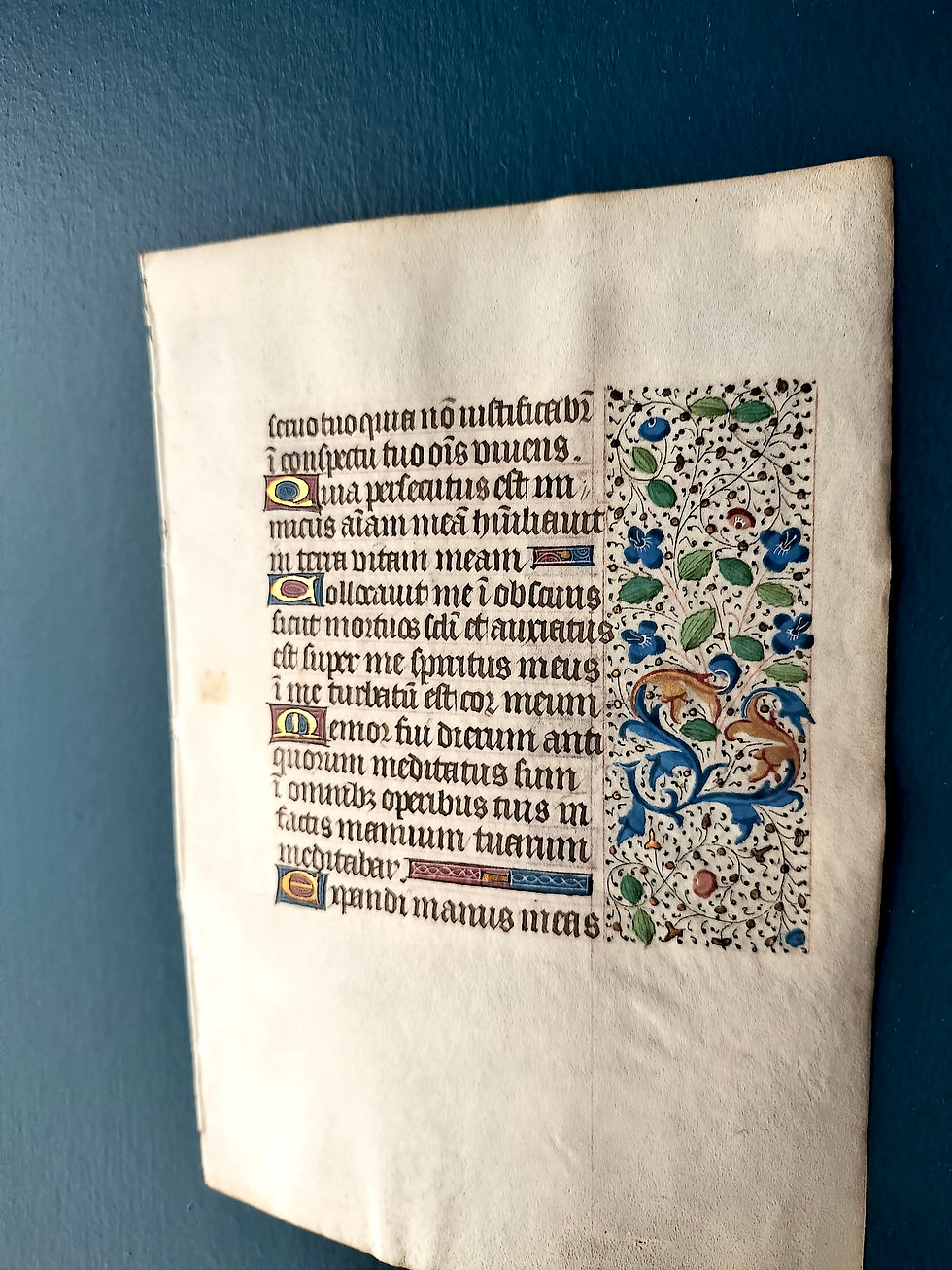 サムネイル： 15世紀 フランス 時祷書零葉 すみれ