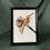 Thumbnail: Snail alternative art print framed
