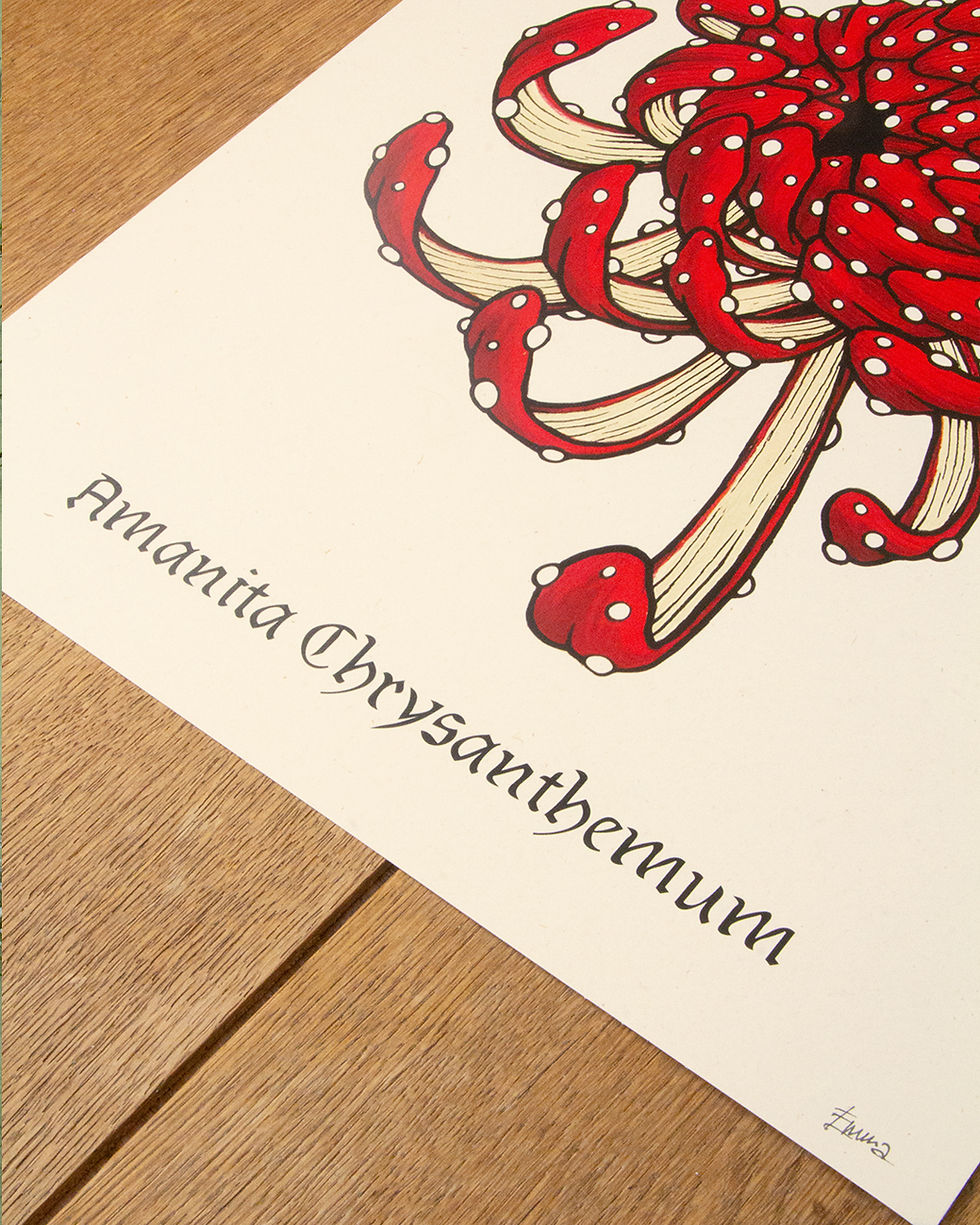 Thumbnail: Amanita Chrysanthemum - Art Print