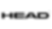 head logo.png