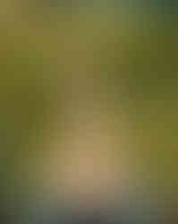 The highway to heaven