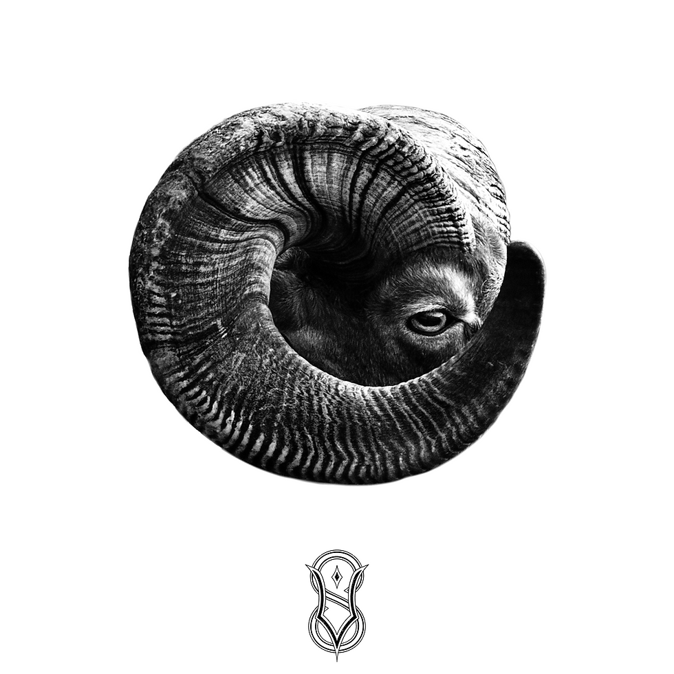 Untitled_Artwork 5 (2).PNG