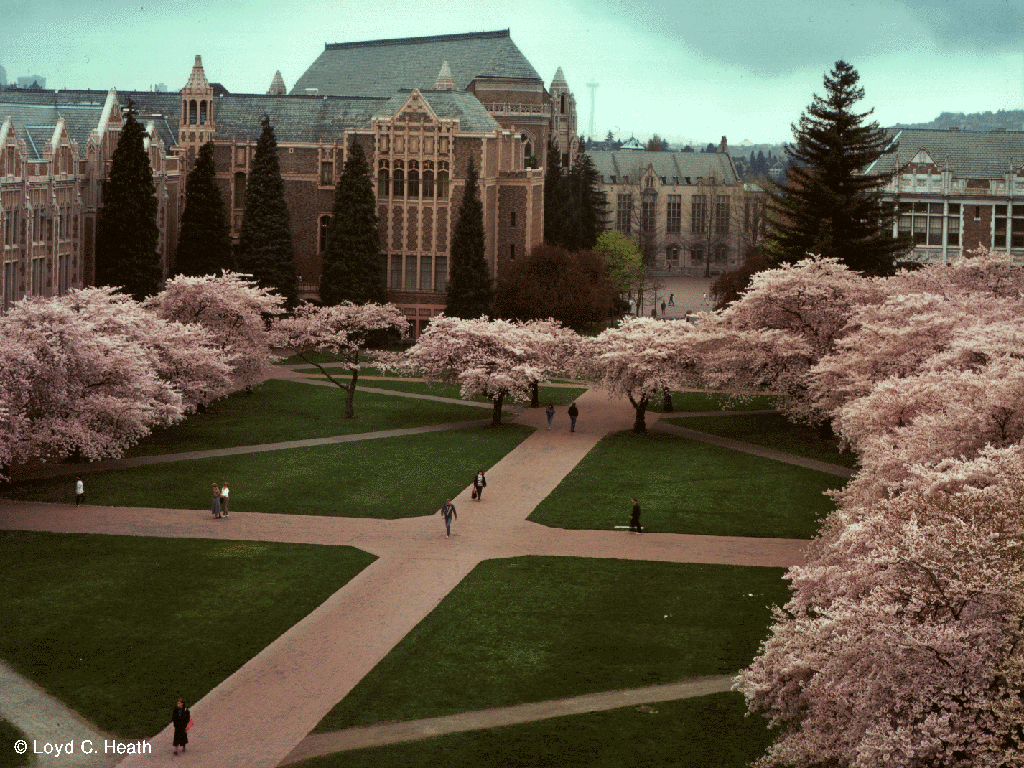 Liberal Arts Quad