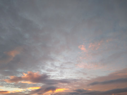 IMG_20201220_165042.jpg