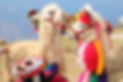 colorful-TFJBNDX.jpg
