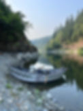 IMG-7309.jpg