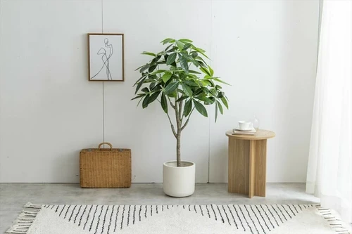 高さ120cm】Nature 光触媒人工観葉植物 パキラ | kaguco
