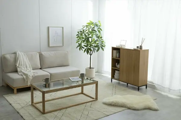 サムネイル： 【高さ150cm】Nature 光触媒人工観葉植物 パキラ