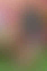 Fotos de festa infantil Harry Potter em Aracaju, Sergipe lelefue espaco salao de festa atalaia