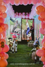 decoração de led e animais em acrílico em festa infantil sergipe