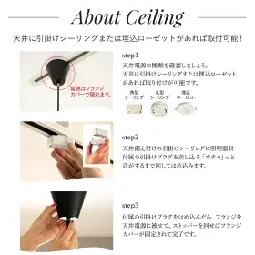 サムネイル： Lu Cerca　Ollare1 オラーレ1 4+2灯シーリングライト　ヴィンテージシルバー