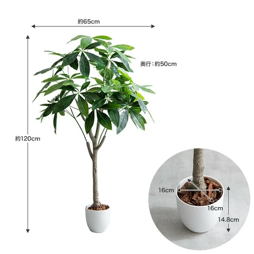 高さ120cm】Nature 光触媒人工観葉植物 パキラ | kaguco