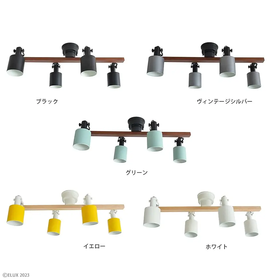 サムネイル： REVO レヴォ 4灯シーリングスポット 　ブラック