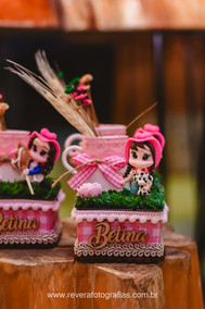 personalizado de festa infantil com tema fazendinha