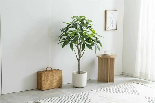 高さ120cm】Nature 光触媒人工観葉植物 パキラ | kaguco