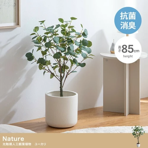 高さ85cm】Nature 光触媒人工観葉植物 ユーカリ | kaguco
