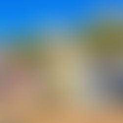 Legal Tip of the Week: Understanding the Probate Process