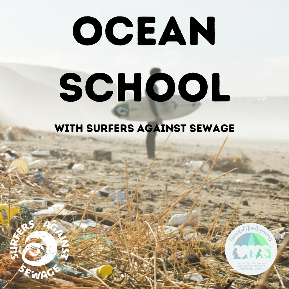 Surfers Against Sewage Ocean School