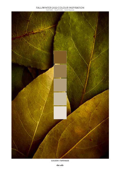 FAll 2022 COLOUR REPORT_Page_23