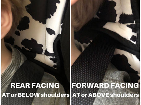 Are YOU Using the Correct Harness Slots?