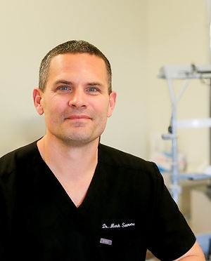 Dr. Mark Seamone