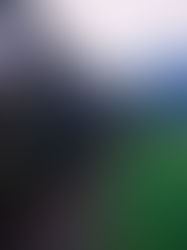 Take a Ride on the Orient Express