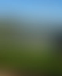 The Late Robin Williams 'Villa Sorriso' has Sold