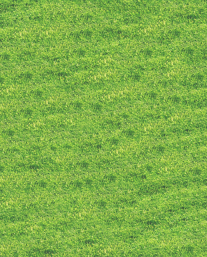 Grass-BD-01-min.png