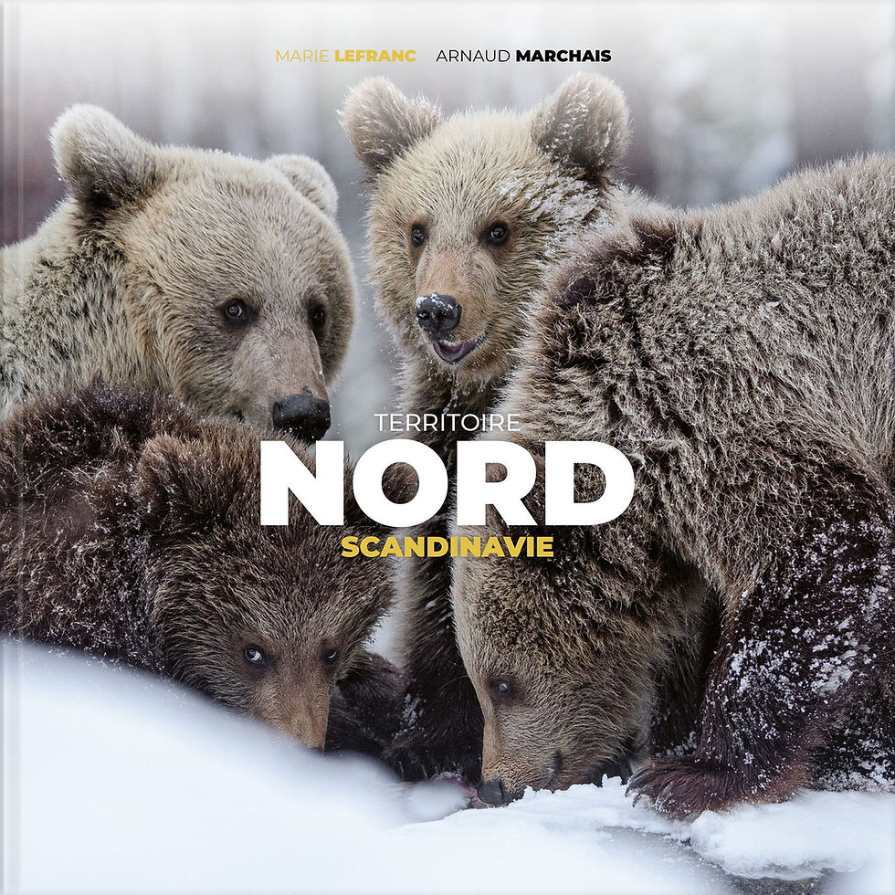 NORD - SCANDINAVIE