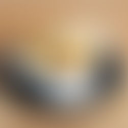 Frites Fromage-Extra 