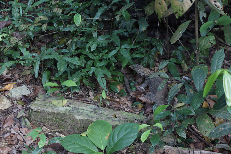 20230328170354_IMG_0996