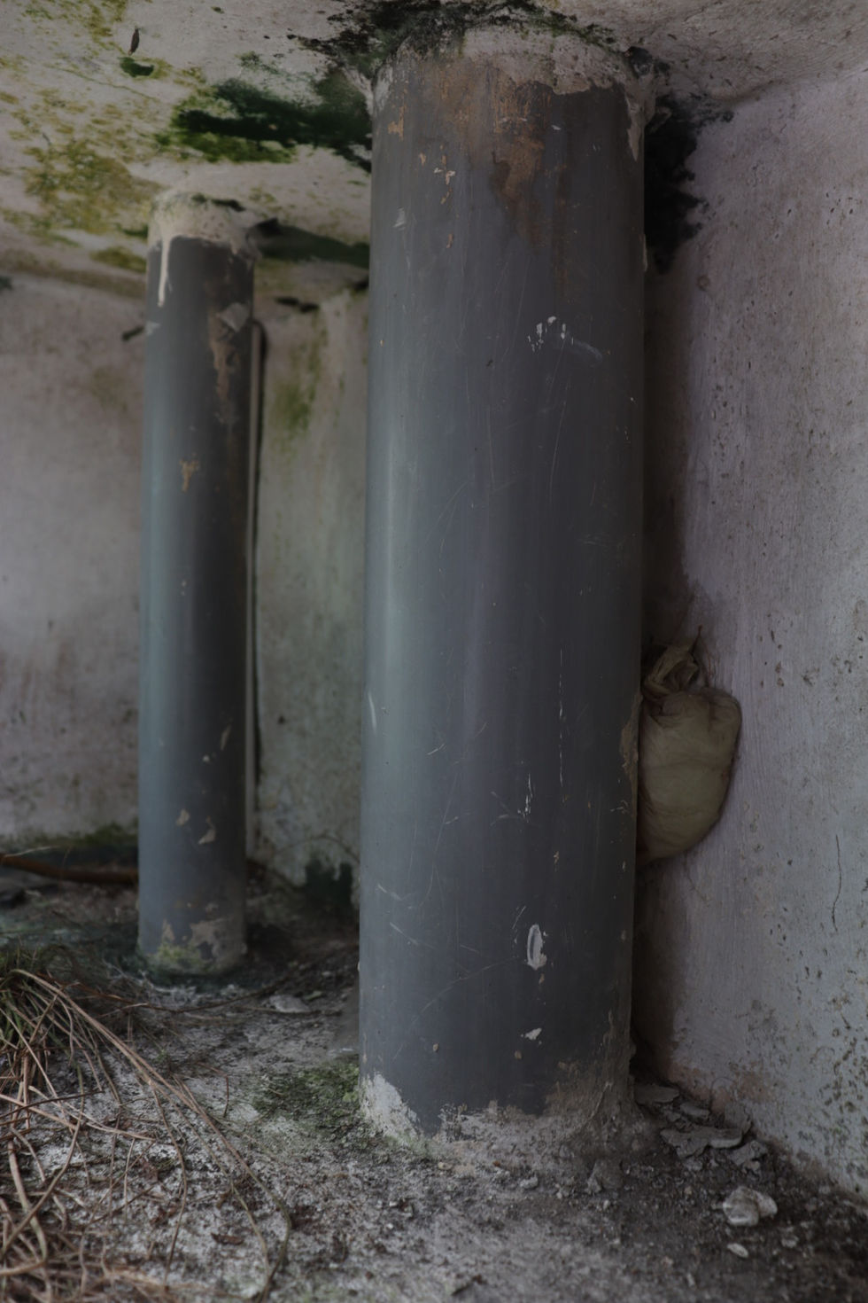 20230521162659_IMG_1080