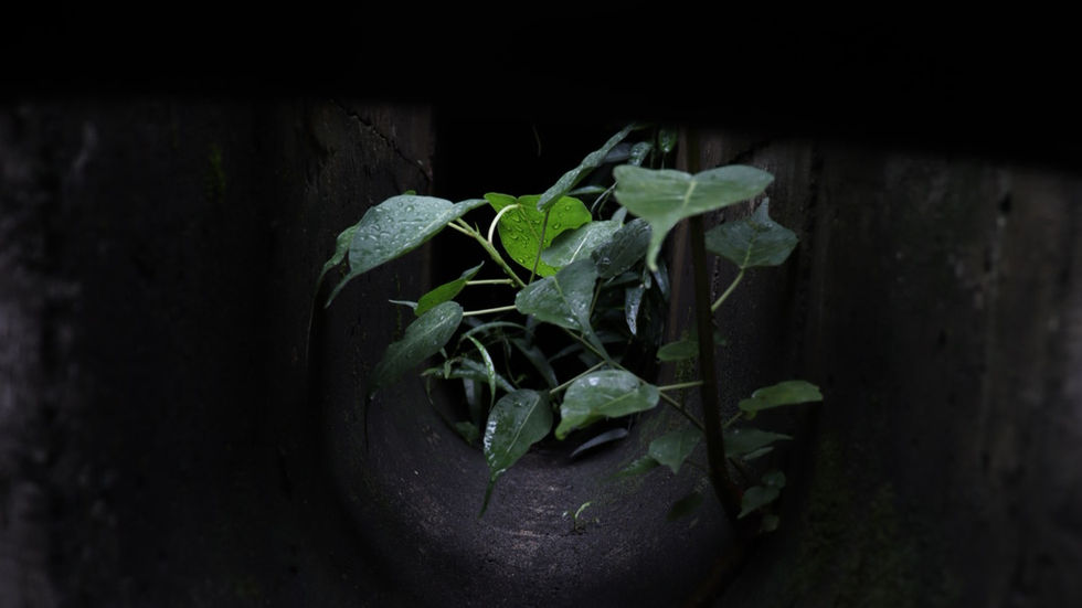 School Photography Assignment