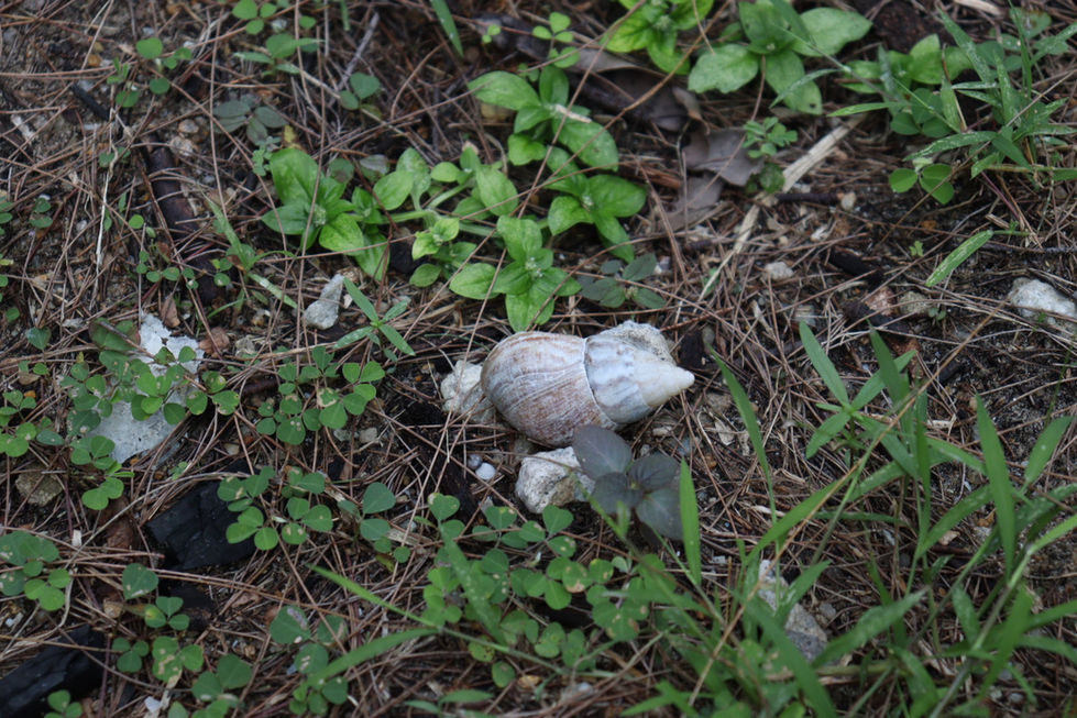 20230220162144_IMG_0881