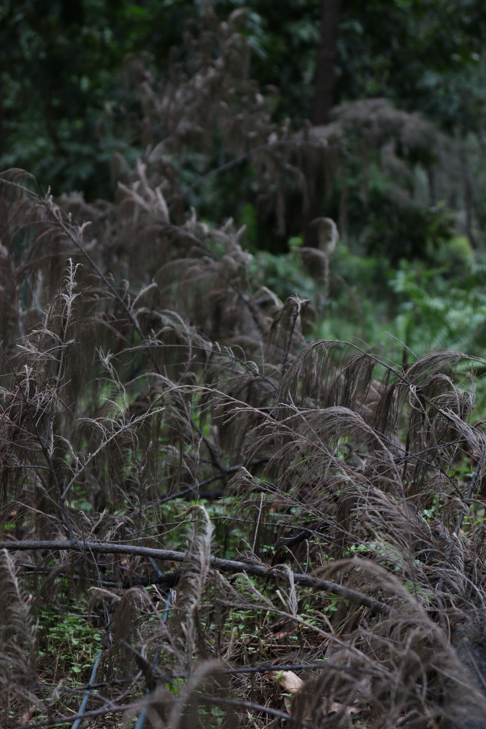 20230220163245_IMG_0891