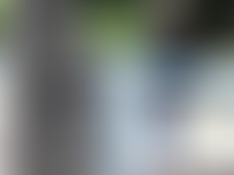 Trump insiste en que Canadá debería formar parte de EE UU tras la dimisión de Trudeau.