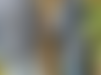 ENGANCHADOS VIP:  CALF DETECTA MASIVO FRAUDE ELÉCTRICO DE PROPIEDADES DE LUJO EN LOS BARRIOS MÁS EXCLUSIVOS DE LA CIUDAD