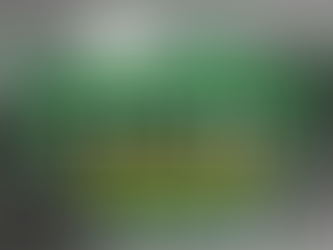 El Extraordinario de Navidad fue para el 75.780