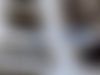 Se normalizó la atención virtual en el ISSN