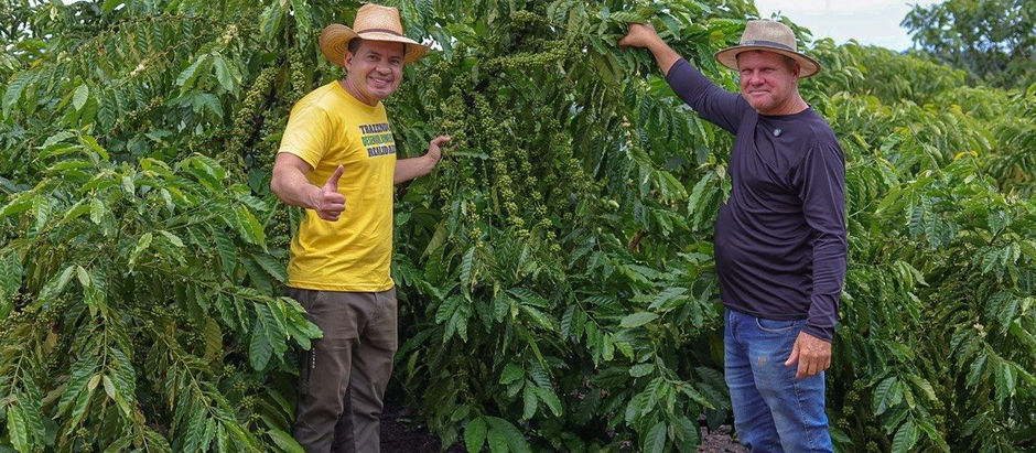 Com emendas de mais de R$ 1 milhão, Delegado Péricles impulsiona a produção de café no Distrito de Realidade, em Humaitá