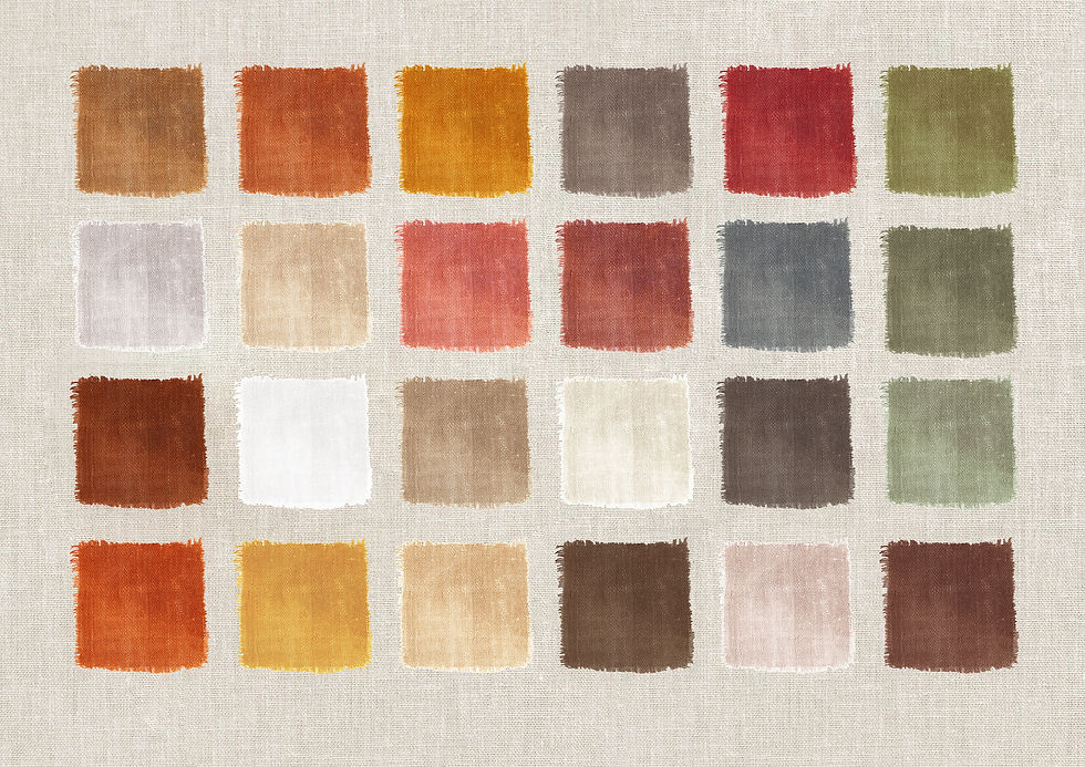 Earth tones in colour palette