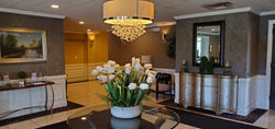 Decorative and Recessed Lighting