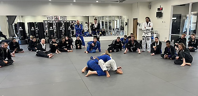 Brazilan Jiu-Jitsu (BJJ) | Class Format | High Point | Greensbororo