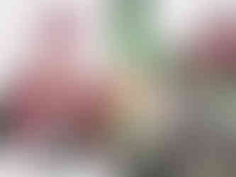 Toronto Engagement Photography