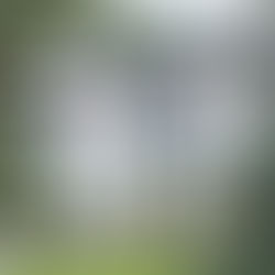 Real Wedding at the Heintzman House