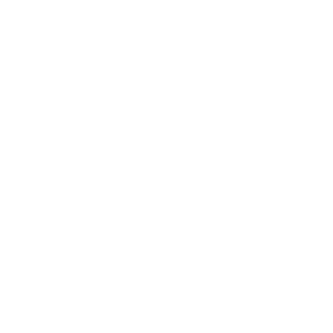 Lucas T Photography -Toronto Wedding Photographer