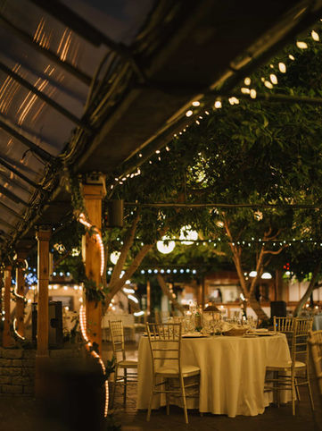 Warm bistro string lights illuminating an elegant round reception table with white linens surrounded by lush indoor tropical trees at Madison Greenhouse.
