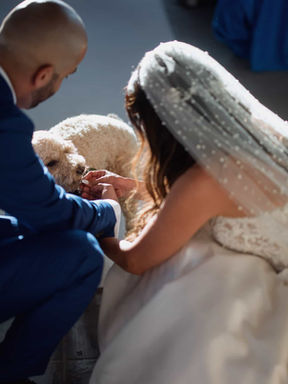 A heartwarming, candid moment of a bride with a pearl veil and a groom kneeling to pet their dog on the wedding day.