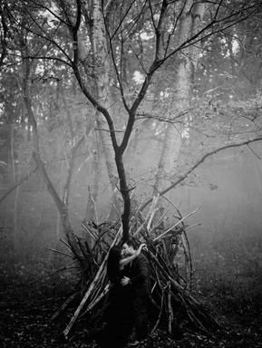 Monochrome forest with a tree wrapped in branches, foggy background. Lucas T Photography