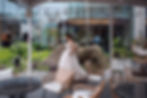 Bride in a white gown poses on a patio with wicker chairs and lush greenery. Large rocks and glass building in the background create a serene mood.